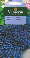 LILLESEEMNED LOBEELIA BLUE VILMORIN CLASSIC