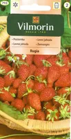 KÖÖGIVILJASEEMNED KUUMAASIKAS RUGIA VILMORIN CLASSIC