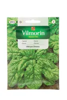 KÖÖGIVILJASEEMNED SPINAT OLBYM ZIMOWY VILMORIN CLASSIC