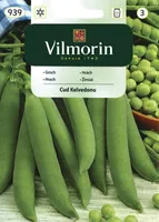 KÖÖGIVILJASEEMNED AEDHERNES KELVEDON VILMORIN CLASSIC