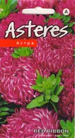SEEMNED KURZEMES SEKLAS ASTER "RED RIBBON"