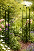 LILLETUGI HANSANOVA "LINNUPUUR" 1400MM