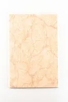 KERAAMILINE SEINAPLAAT ALEXANDRIA LIGHT BEIGE 200X300MM