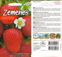 SEEMNED KURZEMES SEKLAS AEDMAASIKAS "TEMPTATION"