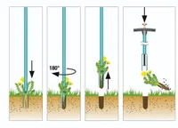 VÕILILLEJUURIJA GARDENA SININE