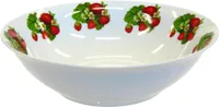 SALATIKAUSS MAASIKAS D23CM 1100ML