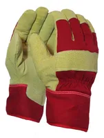 TALVISED SEANAHAST KINDAD VOODRIGA TAMREX 10