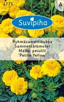 LILLESEEMNED SUVIPIHA PEIULILL MADAL PETITE YELLOW 