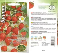 SEEMNED KURZEMES SEKLAS KUUMAASIKAS RUJANA 0,1G