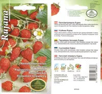 SEEMNED KURZEMES SEKLAS KUUMAASIKAS RUJANA 0,1G