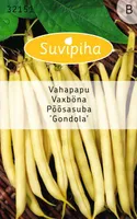 KÖÖGIVILJASEEMNED SUVIPIHA AEDUBA GONDOLA 
