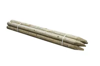AIAPOST 100X2400MM