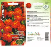 LILLESEEMNED KURZEMES SEKLAS PEIULILL CARMEN 1G