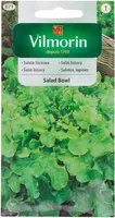 KÖÖGIVILJASEEMNED SALAT SALAD BOWL
