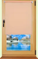 RULOO 120X175CM APRIKOOS