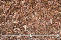 KOOREMULTSH MÄNNIKOOR BALTIC BARK 0-15MM 80L/KOTIS