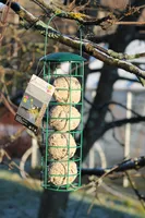 SÖÖTJA 4-LE RASVAPALLILE GARDEN SEASONS 6,3X25CM