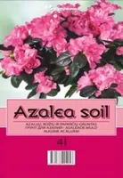 ASALEAMULD SEKLOS 4L