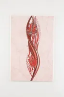 KERAAMILINE DEKOORPLAAT ALEXANDRIA PINK 20X30