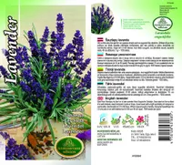 SEEMNED KURZEMES SEKLAS LAVENDEL 0,3 G