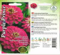 SEEMNED KURZEMES SEKLAS PRUUDISÕLG PURPLE PRINCE 1 G