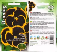 SEEMNED KURZEMES SEKLAS VÕÕRASEMA BRUNIG 0,1 G