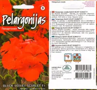 SEEMNED KURZEMES SEKLAS PELARGOON BLACK VELVET SCARLET F1 5 S