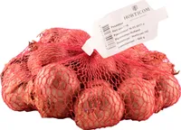 TIPPSIBUL ŠALOTTSIBUL RED SUN 500G