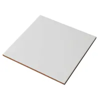 SEINAPLAAT MATT WHITE 20X20CM VALGE MATT 1M² PAKIS