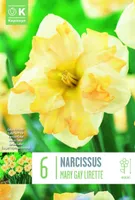 LILLESIBUL NARTSISS COLLAR APRICOT WHIRL 5TK PAKIS