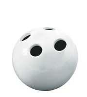 HAMBAHARJAHOIDJA BOWL VALGE