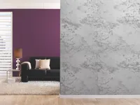 DEKORATIIVVÄRV ALPINA STURM-OPTIK 1L HÕBEDANE