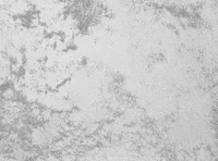 DEKORATIIVVÄRV ALPINA STURM-OPTIK 1L HÕBEDANE