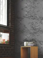 DEKORATIIVVÄRV ALPINA STURM-OPTIK 1L ANTRATSIIT