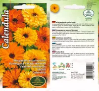 SEEMNED KURZEMES SEKLAS SAIALILL RAVIV 2 G