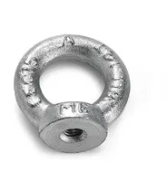 RÕNGASMUTTER 582 M10 TERAS/ZN