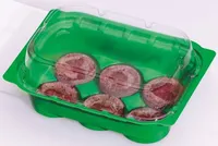 MINIKASVUHOONE VICTORIA 16X11X7CM+ 6 TURBATABLETTI