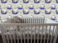 TAPEET P+S 05490-30 10,05X0,53M DIETER 4 KIDS