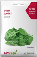 SEEMNED BALTIC AGRO SPINAT "APOLLO" F1 5G