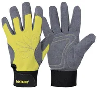 AIAKINNAS ERABLE NAISTE NR7