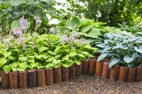 RULLPALISSAAD IMPREST Ø50/150/2000MM PRUUN