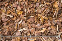 MÄNNIKOOREMULTŠ BALTIC BARK 15-50MM 50L 51TK ALUSEL