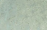 METALLPLAAT ARCANSAS LÄIKIV 500X400X0,5MM