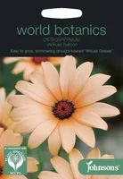 LILLESEEMNED JOHNSON’S KULDKAKAR SALMON