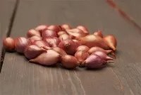 TIPPSIBUL ROSANNA TIPPSIBUL 21-24 ROOSA 0,5KG PAKIS