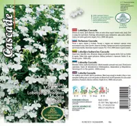 LILLESEEMNED KURZEMES SEKLAS RIPPLOBEELIA VALGE 0,1G