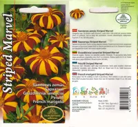 LILLESEEMNED KURZEMES SEKLAS PEIULILL STRIPED 0,3G