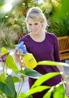 KÄSIPRITS 1,0L HOBBY 10