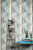 TAPEET EXPOSED PE-10-01-2 0,53X10,05M PUIT