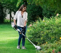 AKUTRIMMER ALPINA T3048 LI 48 V ILMA AKU JA LAADIJATA